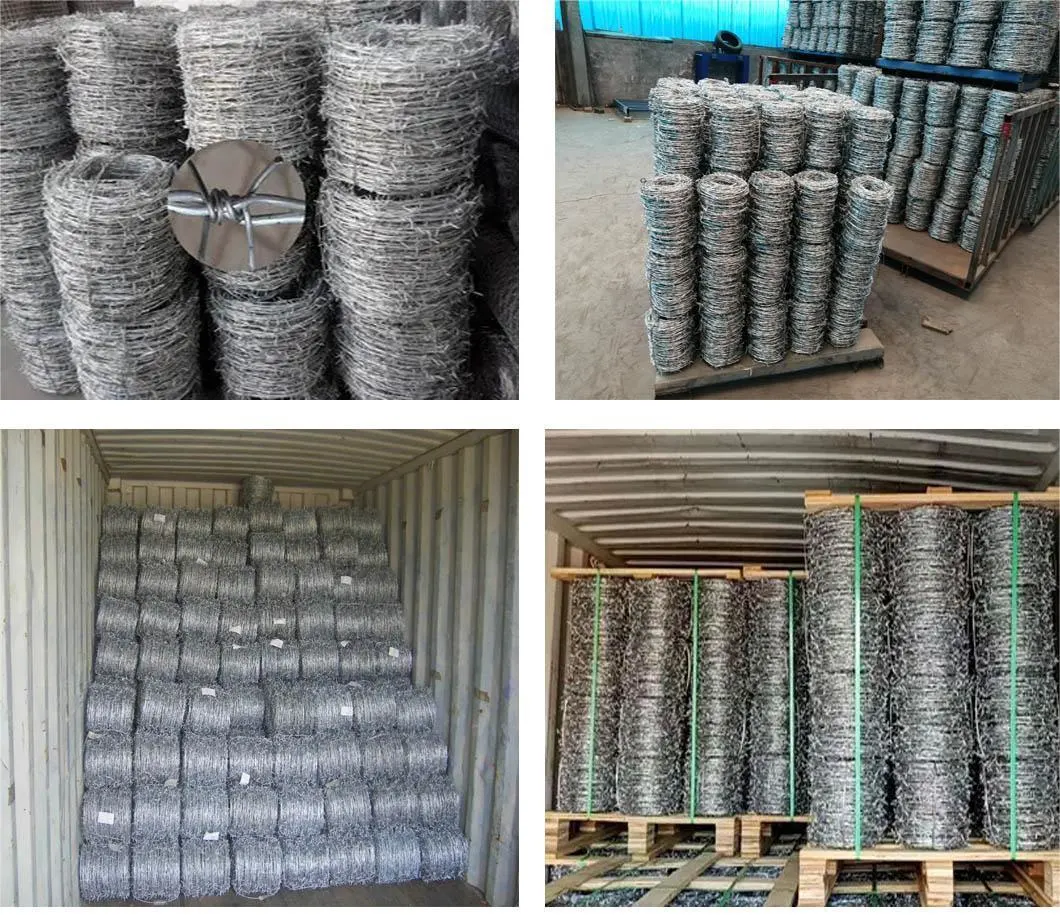 Wire Mesh Electro or Green PVC Coated Galvanized Barbed Wire