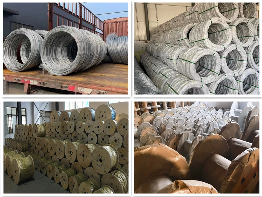 Ms Steel Wire Rod SAE 1008 /1006 0.3mm 6.5mm ASTM 14 Gauge Hot Dipped Galvanized Steel Wire for Manufuacturing Building Packaging