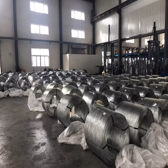 Eg or HDG Galvanized Steel Wire/Galvanized Binding Wire/Steel Iron Wire