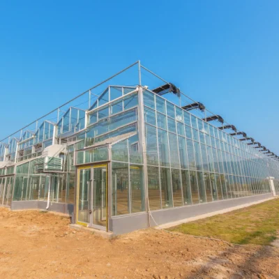 イチゴ/野菜/花/トマト/ピーマン用の水耕灌漑システムを備えたガラス/マルチフィールド温室